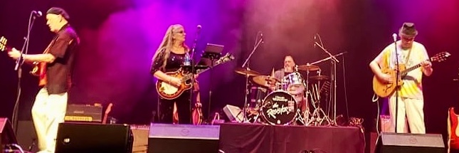 The Resistors performing